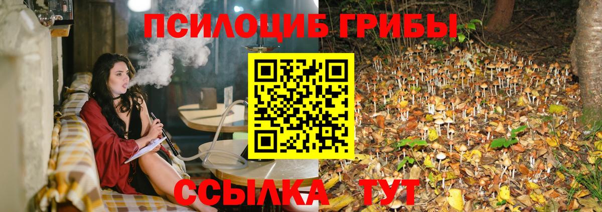 Галлюциногенные грибы Psilocybine cubensis Сланцы