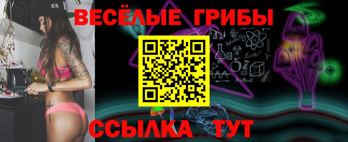 Псилоцибиновые грибы Magic Shrooms  Вход с VPN  Сланцы  дарнет шоп  Галлюциногенные грибы мухоморы 